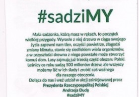 Plakat sadziMY