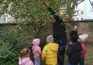 Pan z dziećmi zrywa jabłka