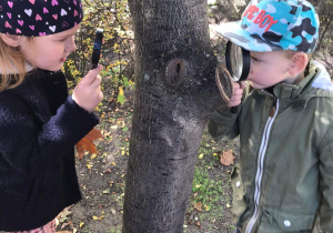 Dzieci z lupami oglądają korę drzew.