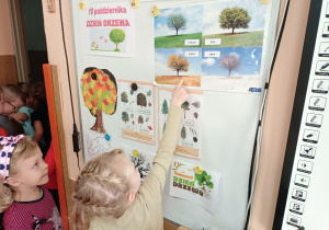 Ewa pokazuje na obrazku jesienne drzewo