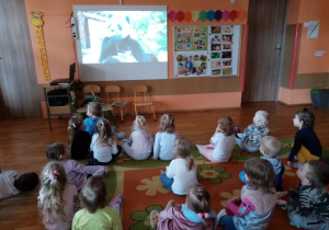 Przedszkolaki oglądają film edukacyjny o zwierzętach.