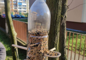 Karmnik wykonany przez dzieci zawieszony na drzewie w przedszkolnym ogrodzie.