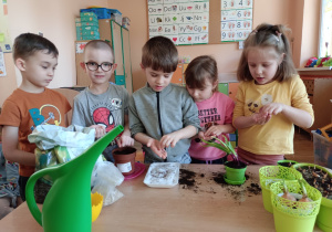 Dzieci sadzą nasiona rzeżuchy na wacie