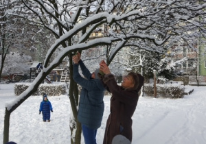 Panie z grupy 1 strzepują śnieg z drzewka
