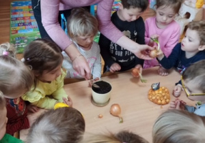 Sadzenie cebulek do doniczki przez dzieci