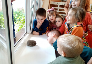 Dzieci przyglądają się małemu jeżykowi.