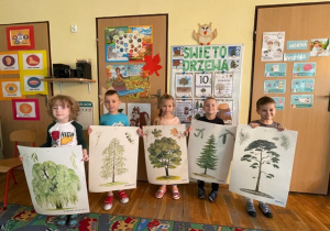 Dzieci przedstawiają plakaty z drzewami liściastymi i iglastymi
