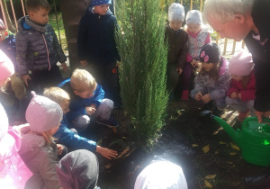 Przedszkolaki sadzą drzewko w ogrodzie przedszkolnym.