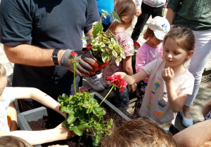 Dzieci z pomocą Pana Rafała dadzą kwiaty.
