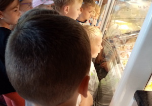 Dzieci podczas wycieczki do cukierni oglądają wyroby czekoladowe.