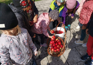 Dzieci oglądają zebrane jabłka.