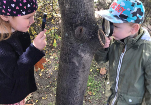 Dzieci z lupami oglądają korę drzew.
