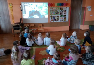 Przedszkolaki oglądają film edukacyjny o zwierzętach.
