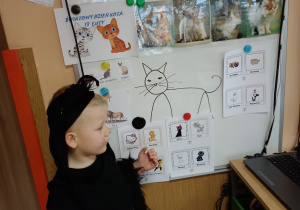 Chłopiec przebrany za kota na tle tablicy informującej o Dniu Kota