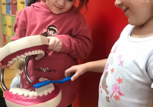Dziewczynki pokazują na modelu zębów w jaki sposób je myć.