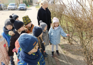 Dzieci oglądają pączki drzew