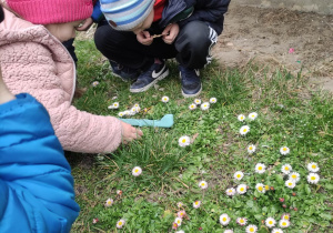 Dzieci obserwują wiosenne kwiaty.
