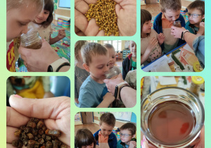 Dzieci ogladają produkty wytwarzane przez pszczoły.