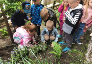 Dzieci sadzą niezapominajki w przedszkolnym ogrodzie