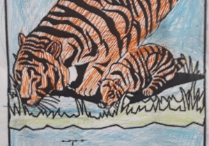 Tygrysek pokolorowany przez Wojtka
