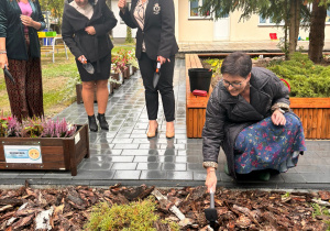 Sadzenie cebulek tulipanów przez gości