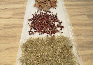 Ścieżka ułożona z siana, kasztanów, liści i szyszek