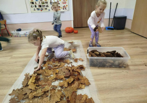 Dziewczynki układają ścieżkę sensoryczną z darów jesieni