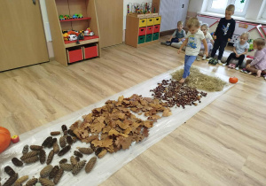 Chłopiec idzie ścieżką sensoryczną po sianie i kasztanach